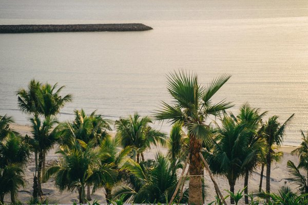 How Can UK Cruises Offer Unique Cultural Experiences?